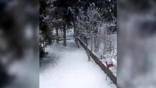 In Alines Garten in Heusweiler ist auch schön zugeschneit. (Foto: Facebook / Aline Scherer)