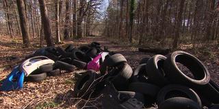 Müllablagerungen in einem Waldstück in Frankreich (Foto: SR)