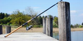 Angelroute an einem Steg (Foto: pixabay)